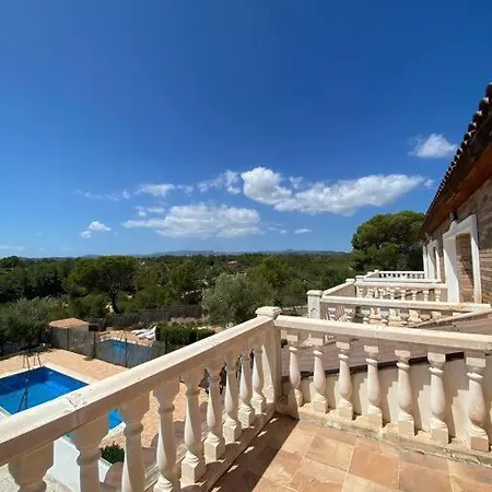 Palmera L'Ametlla de Mar